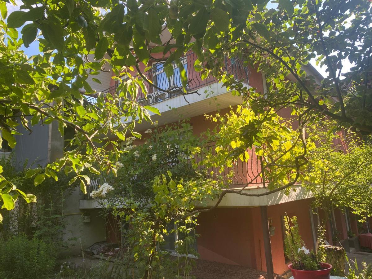 Ardelean Apartment Oradea Exteriör bild