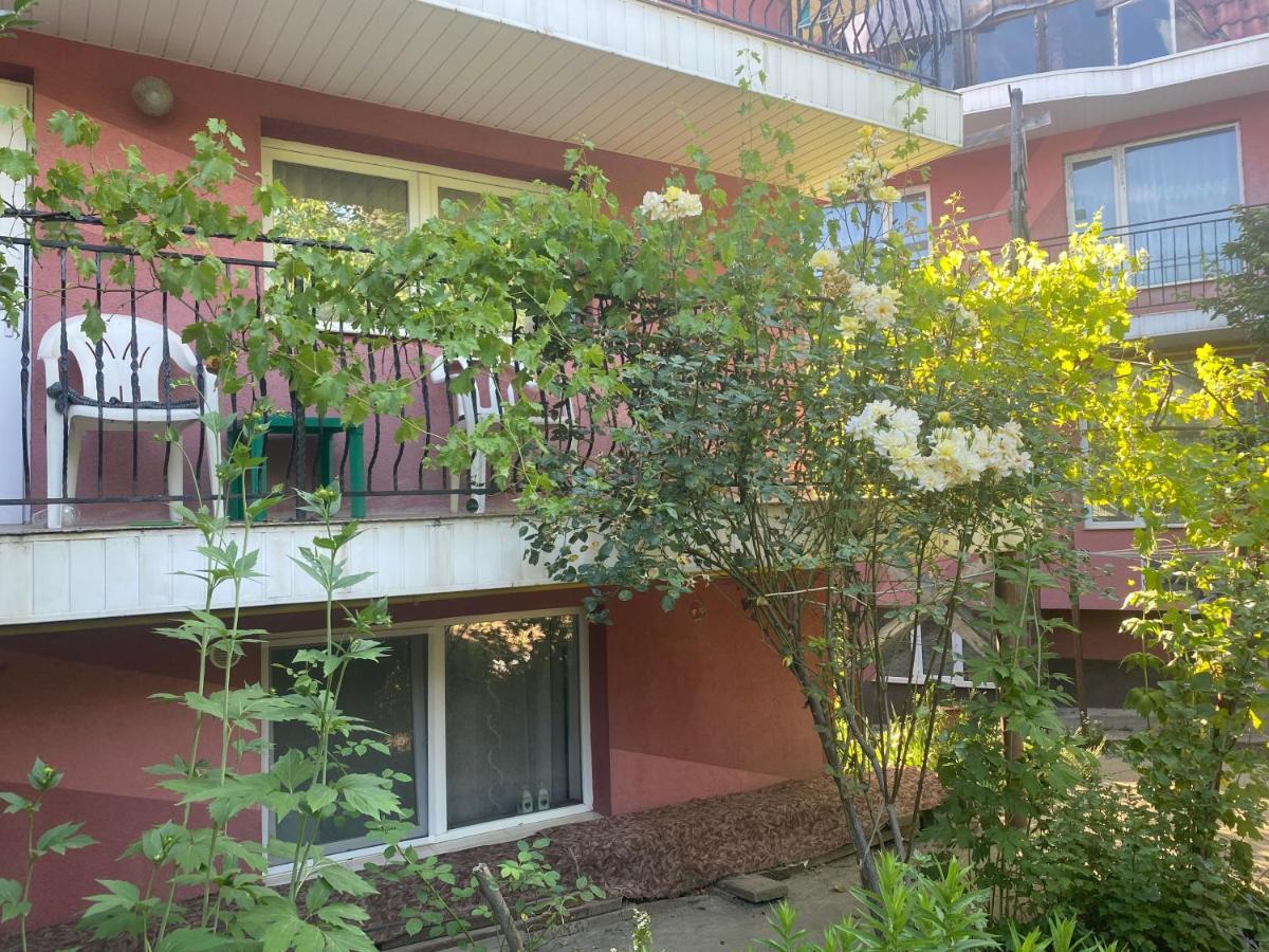 Ardelean Apartment Oradea Exteriör bild